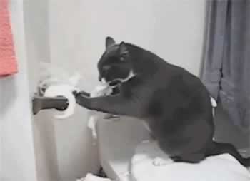 前男友只回一部分消息怎么办｜挽回情感核心技巧(图5)