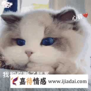 女同分手挽回全攻略：避免这5个常见错误(图4)