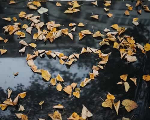 男人是否真心爱你？从这三点看出来｜情感判断核心技巧 - 智穹界佳偶婚恋网