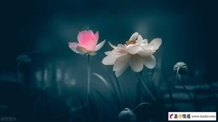 男人铁了心要离婚还能挽回吗全攻略(图1)