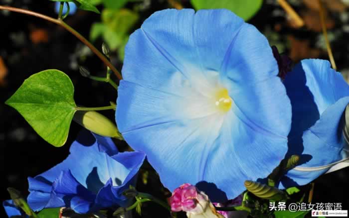 老婆太物质了还有挽回的必要吗全攻略(图1)