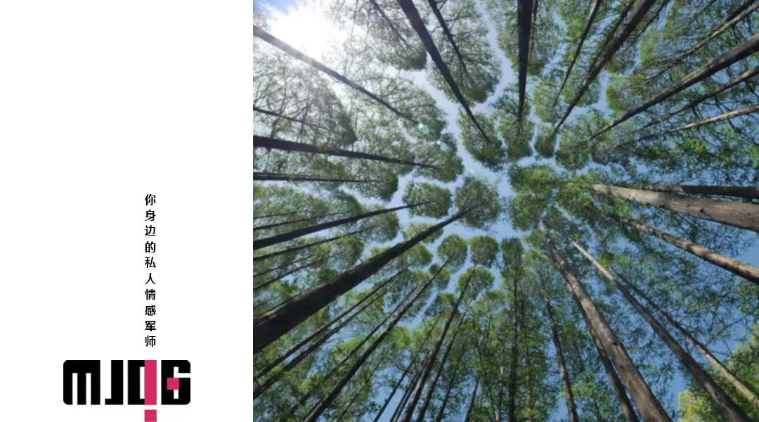 前任绝情真相解析｜挽回关系的心理机制(图1)