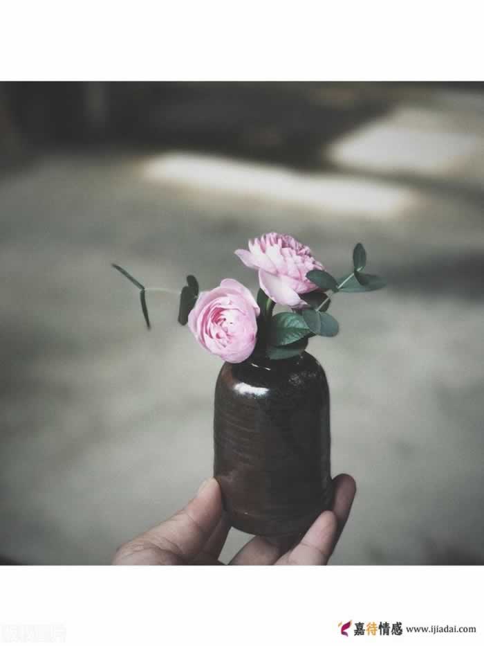 带着残缺去爱，结果会怎么样？(图5)