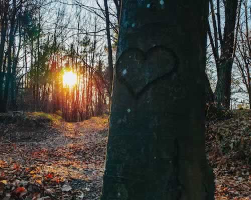 复联期间这样聊天，你的挽回才会更加顺利(图1)