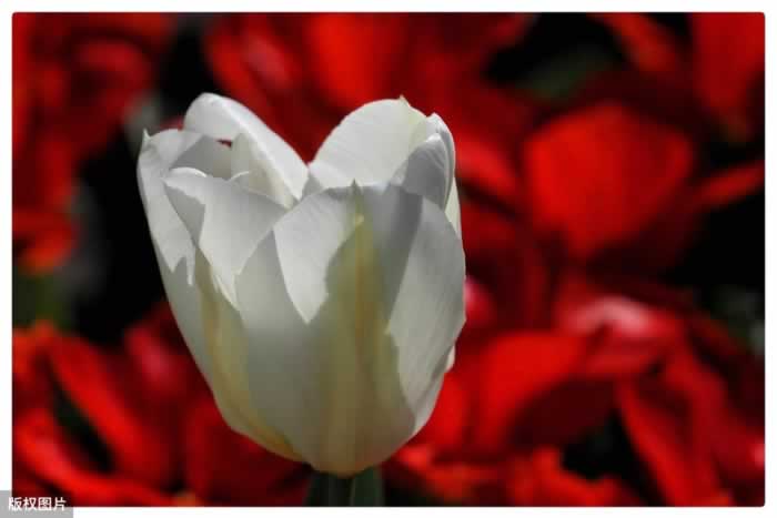 男人不愿做家务怎么办？学用这四个小技巧，让他主动做家务(图2)