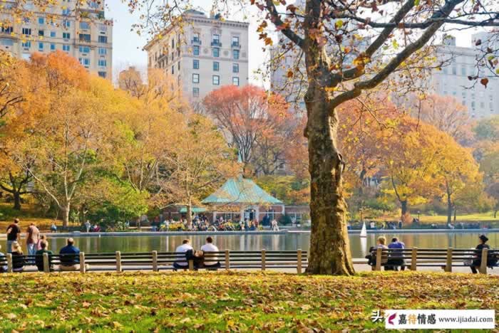 男人只恋爱却不想结婚，就是不爱你？揭秘“恐婚男”的真实小心思(图2)