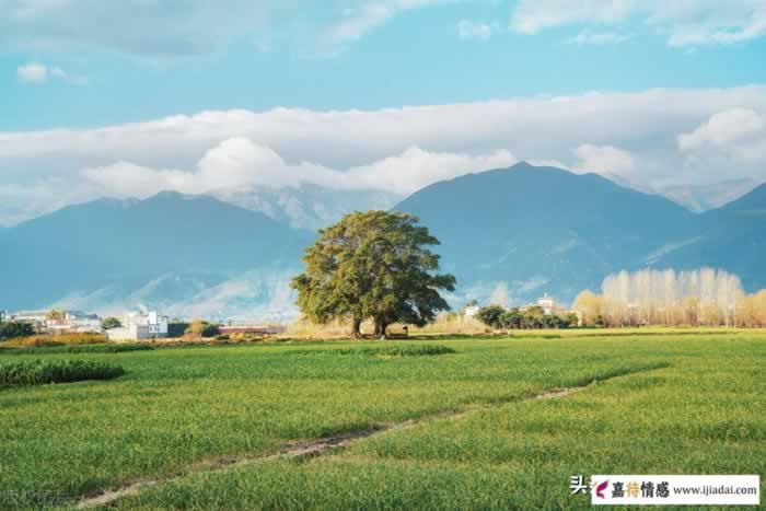 为什么你总是走不进男人内心？懂得抓住他的“情感死穴”才是关键(图3)