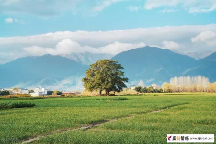 为何他总喜欢跟婚外玩暧昧，各取所需互不干涉？轻松拿捏男人心(图3)