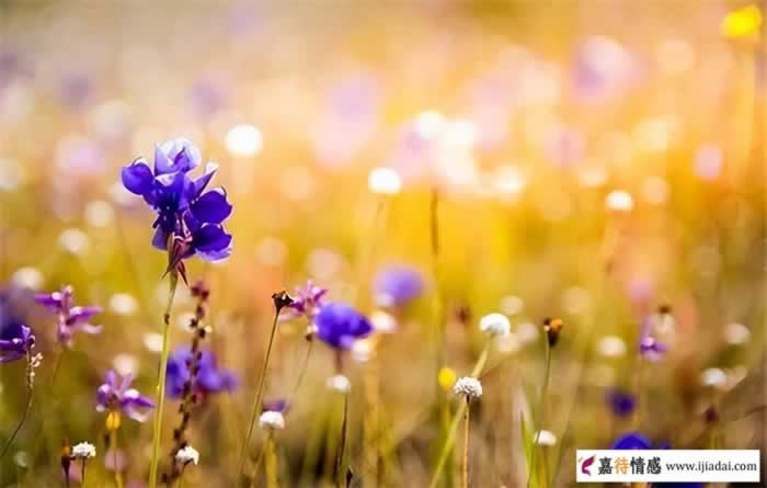 女朋友出轨后嫁人自己怎么调节(图2)