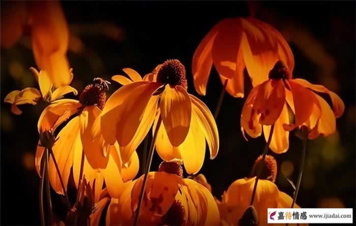 女朋友出轨后嫁人自己怎么调节(图4)