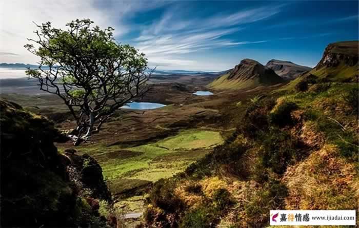 再婚女人如何慎选结婚对象(图2)