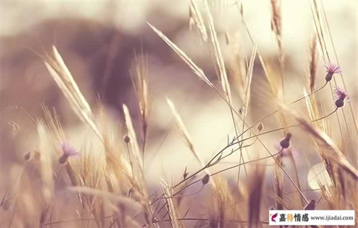 女朋友出轨后嫁人自己怎么调节(图1)