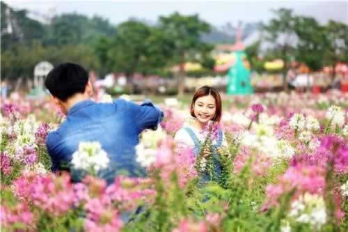 好的爱情不需太多言语，这样相处会让你们之间变更好(图4)
