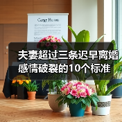夫妻超过三条迟早离婚 感情破裂的10个标准(图3) 夫妻感情破裂的10个标准|婚姻危机预警全攻略(图3)