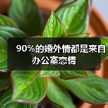 90%的婚外情都是来自办公室恋情(图2) 办公室恋情引发婚外情|如何避免角色混淆与情感危机(图2)