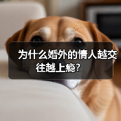 为什么婚外的情人越交往越上瘾?(图4) 婚外情人越交往越上瘾的原因全解析(图4)