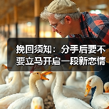 挽回须知:分手后要不要立马开启一段新恋情?(图1) 分手后立马开启新恋情?实用指南(图1)