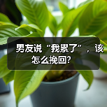 男友说“我累了”,该怎么挽回?(图1) 男友说累了怎么办全攻略(图1)