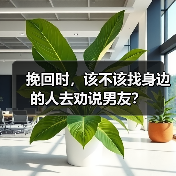 挽回时,该不该找身边的人去劝说男友?(图4) 挽回男友该不该找朋友劝说核心技巧(图4)