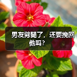 男友劈腿了,还要挽回他吗?(图4) 男友劈腿了还要挽回吗全攻略(图4)