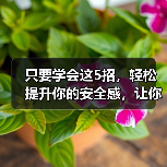 只要学会这5招,轻松提升你的安全感,让你掌握感情主动权(图4) 提升安全感的5招|掌握感情主动权全攻略(图4)