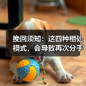 挽回须知:这四种相处模式,会导致再次分手(图1) 挽回误区:这四种相处模式易致分手|情感修复指南(图1)