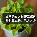 成熟的女人越要掌握这些脱单套路,男人才会对你死心塌地,倒追你(图1) 成熟女性脱单技巧|如何吸引男人倒追你(图1)