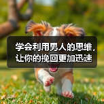 学会利用男人的思维,让你的挽回更加迅速(图2) 学会男人思维挽回更快|情感修复核心技巧(图2)