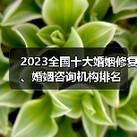 2023全国十大婚姻修复、婚姻咨询机构排名(图3)