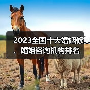 2023全国十大婚姻修复、婚姻咨询机构排名(图4)
