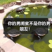 你的男闺蜜不是你的男朋友!(图4) 你的男闺蜜不是你的男朋友!(图4)