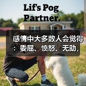 感情中大多数人会觉得:委屈、愤怒、无助,那你呢?(图4) 感情中大多数人会觉得:委屈、愤怒、无助,那你呢?(图4)