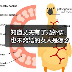 知道丈夫有了婚外情,也不离婚的女人是怎么想的?(图3) 知道丈夫有了婚外情,也不离婚的女人是怎么想的?(图3)