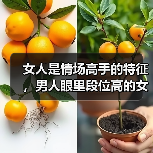 女人是情场高手的特征，男人眼里段位高的女