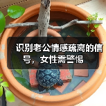 识别老公情感疏离的信号,女性需警惕(图1) 识别老公情感疏离的信号,女性需警惕(图1)