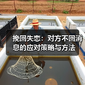 挽回失恋:对方不回消息的应对策略与方法(图3) 挽回失恋:对方不回消息的应对策略与方法(图3)