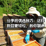 分手后偶遇技巧：这样挽回更轻松，教你制造自然邂逅机会(图4)