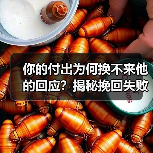你的付出为何换不来他的回应?揭秘挽回失败的真正原因(图4) 你的付出为何换不来他的回应?揭秘挽回失败的真正原因(图4)