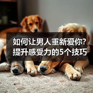 如何让男人重新爱你？提升感受力的5个技巧(图1)
