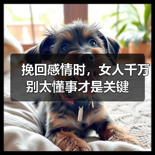 挽回感情时，女人千万别太懂事才是关键(图3)
