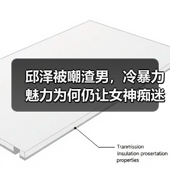 邱泽被嘲渣男,冷暴力魅力为何仍让女神痴迷?(图4) 邱泽被嘲渣男,冷暴力魅力为何仍让女神痴迷?(图4)