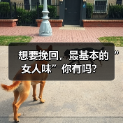 想要挽回,最基本的“女人味”你有吗?(图4) 想要挽回,最基本的“女人味”你有吗?(图4)