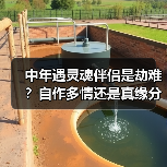 中年遇灵魂伴侣是劫难?自作多情还是真缘分?(图2) 中年遇灵魂伴侣是劫难?自作多情还是真缘分?(图2)