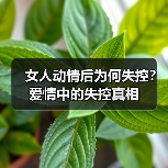 女人动情后为何失控?爱情中的失控真相(图1) 女人动情后为何失控?爱情中的失控真相(图1)