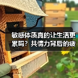 敏感体质真的让生活更累吗?共情力背后的疲惫真相(图3) 敏感体质真的让生活更累吗?共情力背后的疲惫真相(图3)