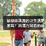 敏感体质真的让生活更累吗?共情力背后的疲惫真相(图2) 敏感体质真的让生活更累吗?共情力背后的疲惫真相(图2)