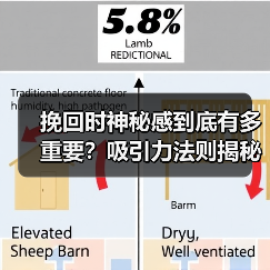 挽回时神秘感到底有多重要?吸引力法则揭秘(图3) 挽回时神秘感到底有多重要?吸引力法则揭秘(图3)