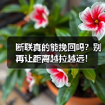 断联真的能挽回吗？别再让距离越拉越远！(图1)