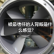 被最信任的人背叛是什么感觉？