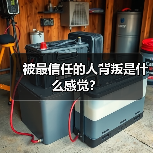 被最信任的人背叛是什么感觉?(图2) 被最信任的人背叛是什么感觉?(图2)
